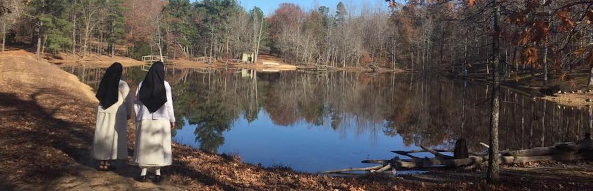 Lake Picture
